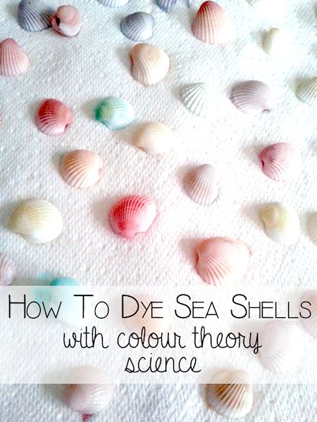 How to Dye Seashells