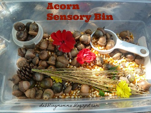 Acorn Sensory Bin