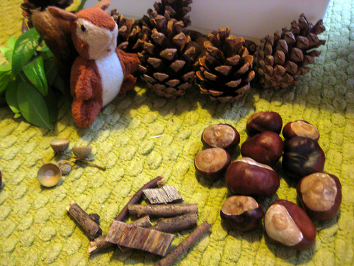 Autumn Sensory Tub with Squirrels