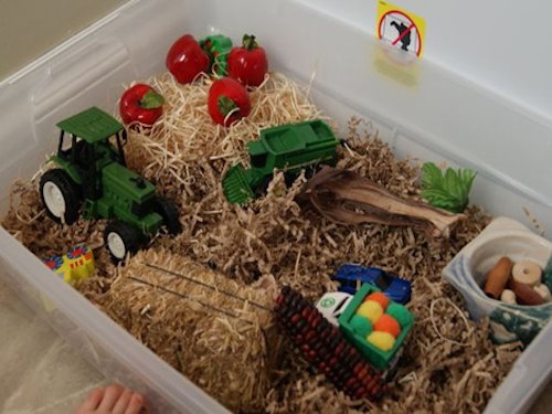 Fall Harvest Sensory Bin