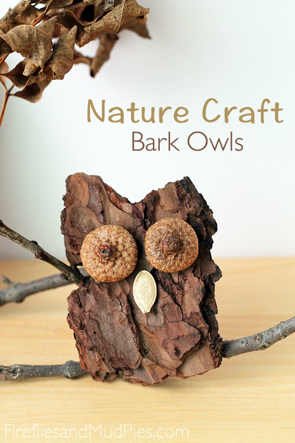 Bark Owl Craft