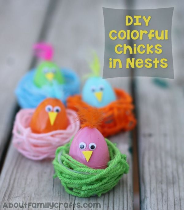 Colorful Chicks in Nests