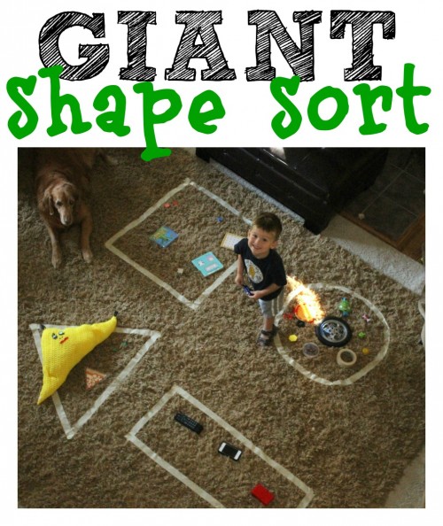 Giant Shape Sort