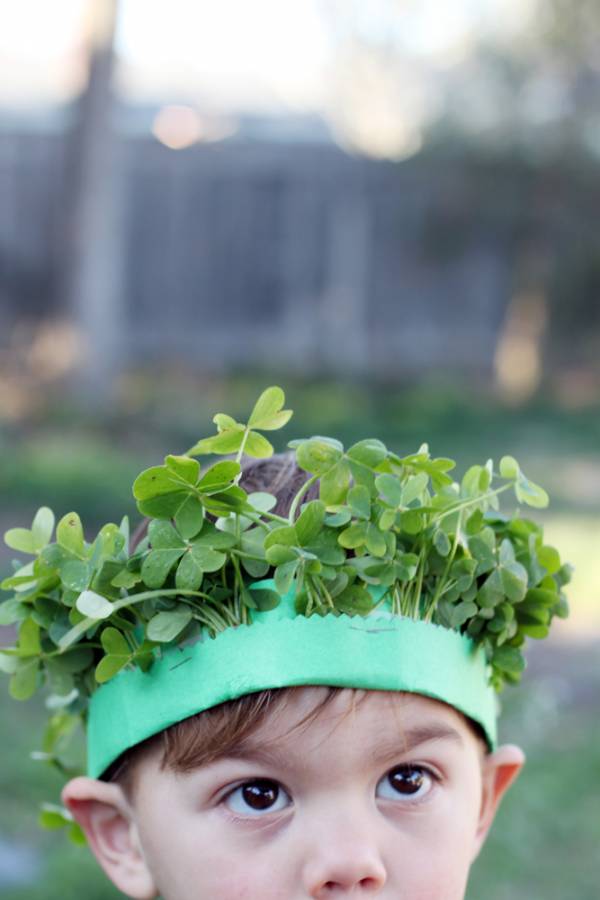 Lucky Crown of Clover