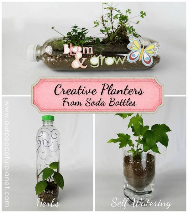 Unique Planters from Soda Bottles