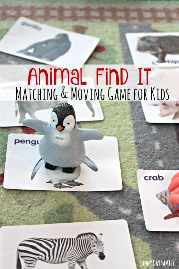 animal find it game