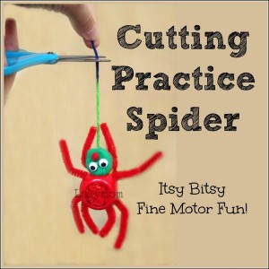 Cutting Practice Spider